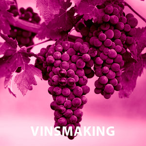 Dirty Girls Vinsmaking <p></p>(Fredag 2. september 2022 kl 18:30 - Dyreparken Hotell)